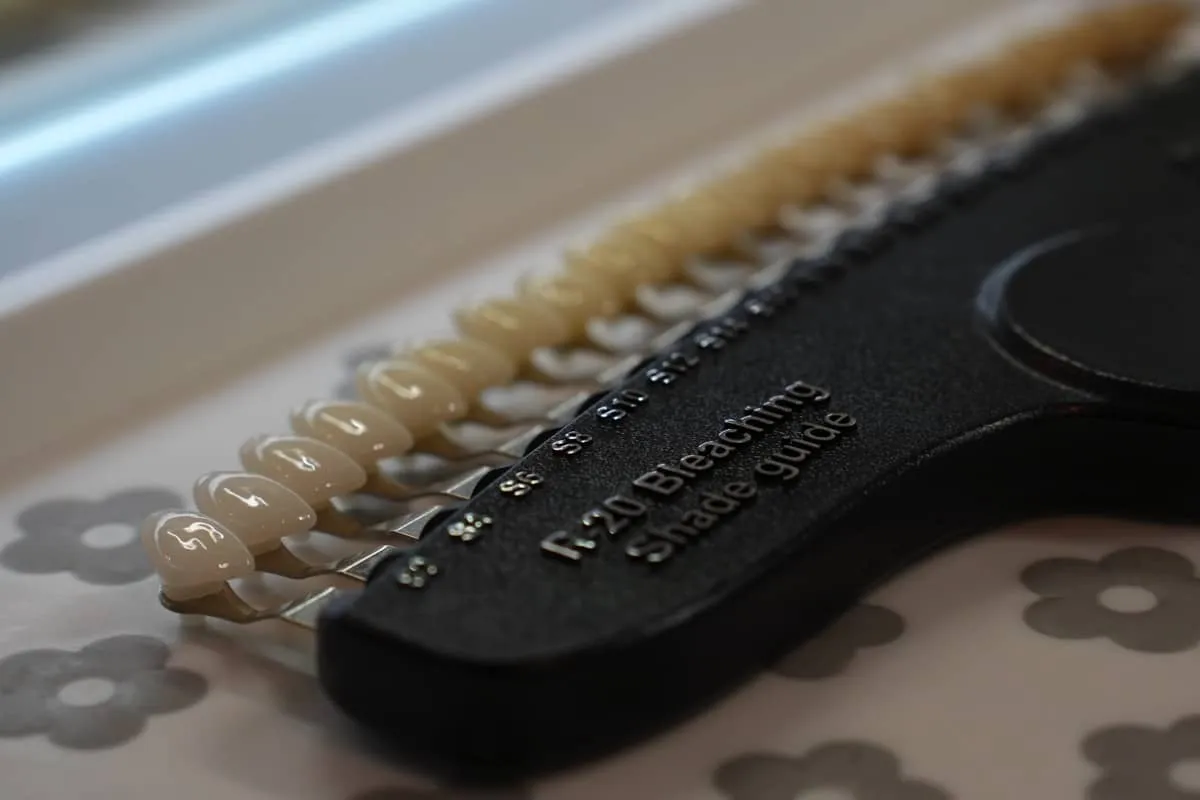 実際の写真によって変化の様子を実感